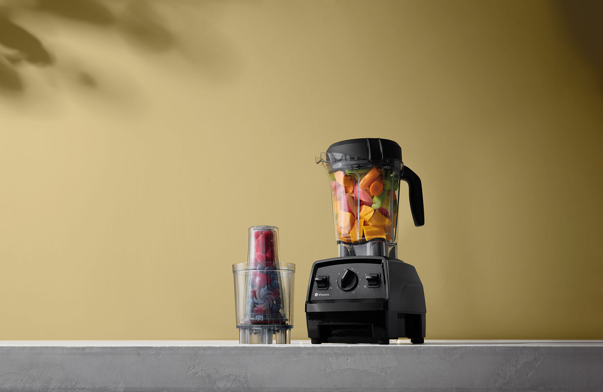 Vitamix Explorian E320